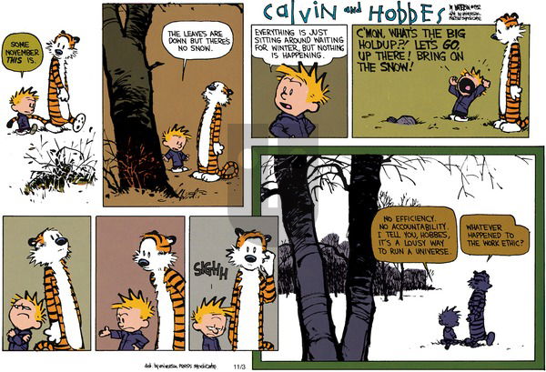 Calvin and Hobbes on Sunday November 15, 1992 Comic Strip