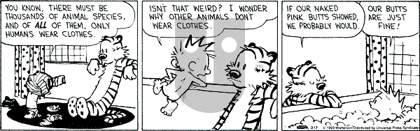 Calvin and Hobbes - Wednesday March 17, 1993 Comic Strip