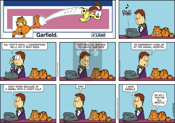 Garfield on Sunday November 11, 2012 Comic Strip