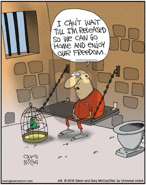 The Flying McCoys on Wednesday April 6, 2016 Comic Strip