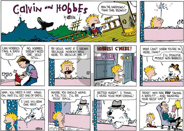Calvin and Hobbes on Sunday May 19, 1991 Comic Strip