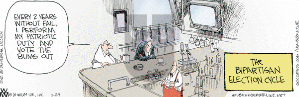 Non Sequitur on Monday November 29, 2010 Comic Strip