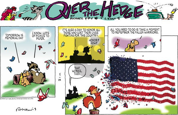 Over the Hedge on Sunday May 29, 2016 Comic Strip