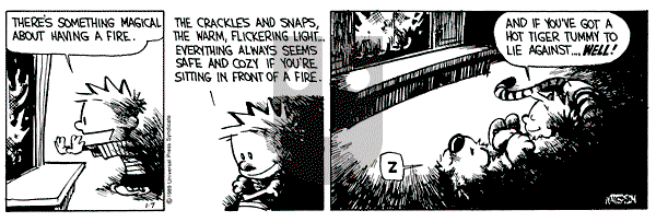 Calvin and Hobbes - Saturday January 7, 1989 Comic Strip