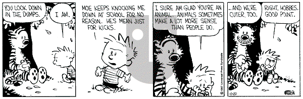 Calvin and Hobbes - Tuesday October 20, 1987 Comic Strip