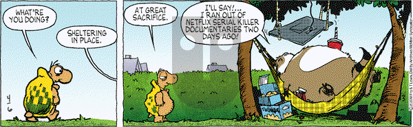 Over the Hedge on Monday April 6, 2020 Comic Strip