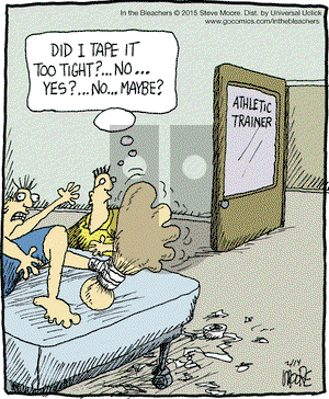 In the Bleachers on Saturday February 14, 2015 Comic Strip