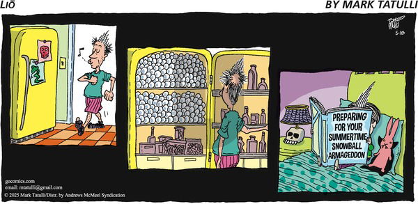 Lio on Sunday May 18, 2025 Comic Strip