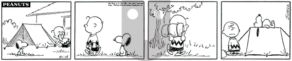 Peanuts on Friday August 14, 1964 Comic Strip