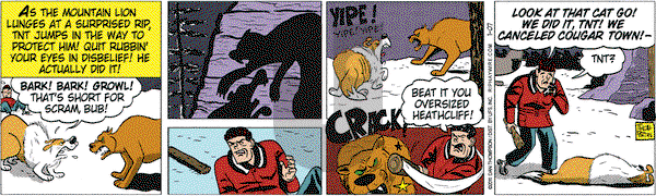 Rip Haywire - Friday January 7, 2011 Comic Strip
