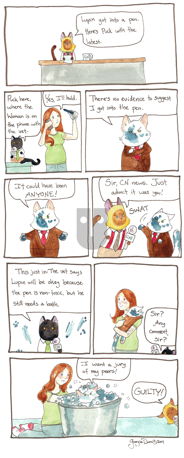 Breaking Cat News on Thursday November 3, 2016 Comic Strip