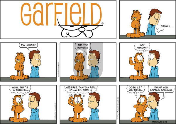 Garfield - Sunday November 24, 2013 Comic Strip