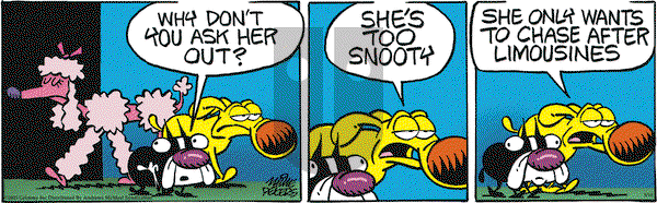 Mother Goose and Grimm - Saturday May 10, 2025 Comic Strip
