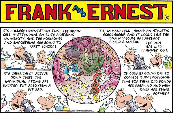 Frank and Ernest on Sunday August 6, 2017 Comic Strip
