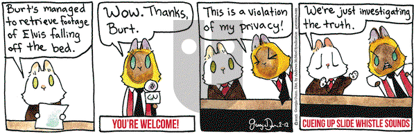 Breaking Cat News - Wednesday February 12, 2025 Comic Strip