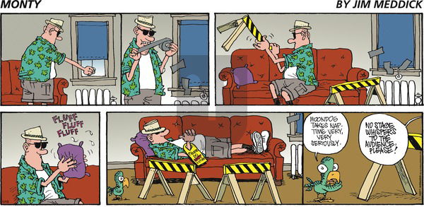 Monty on Sunday January 15, 2017 Comic Strip