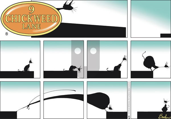 9 Chickweed Lane on Sunday August 25, 2019 Comic Strip