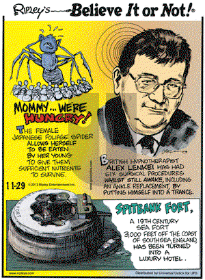 Ripley's Believe It or Not on Friday November 29, 2013 Comic Strip