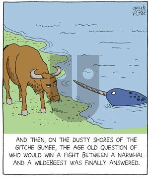 Brevity on Tuesday June 14, 2005 Comic Strip