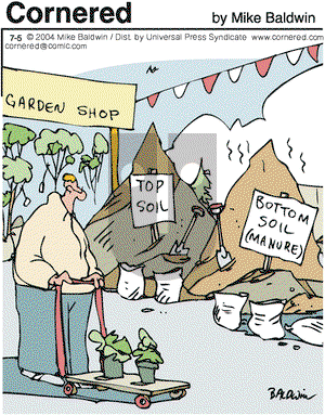 Cornered on Monday July 5, 2004 Comic Strip
