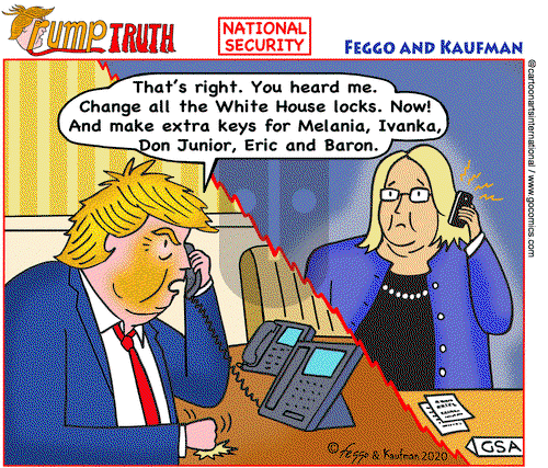 Views of the World on Wednesday November 11, 2020 Comic Strip