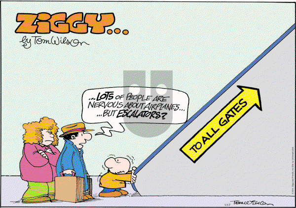Ziggy - Sunday January 17, 2010 Comic Strip