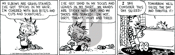 Calvin and Hobbes - Thursday July 15, 1993 Comic Strip