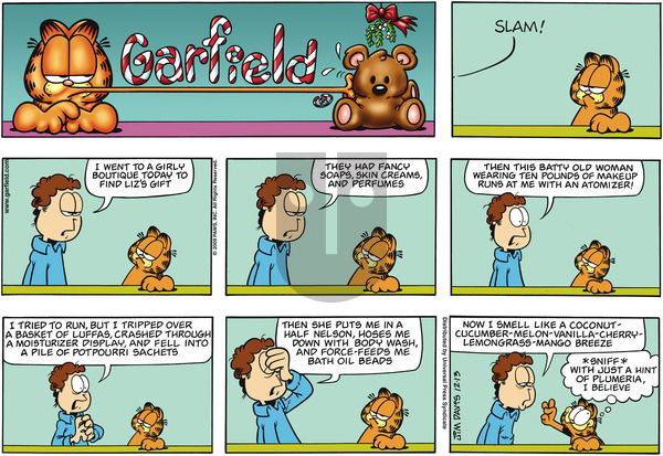 Garfield on Sunday December 13, 2009 Comic Strip