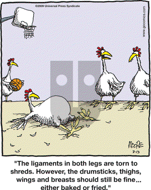 In the Bleachers - Friday March 13, 2009 Comic Strip