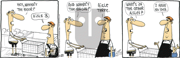 The Duplex on Friday January 23, 2015 Comic Strip