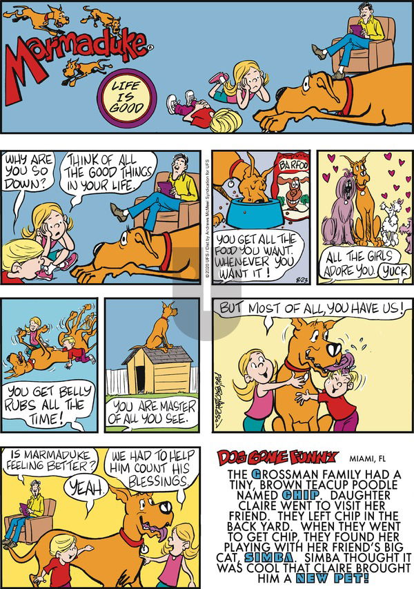 Marmaduke on Sunday August 23, 2020 Comic Strip