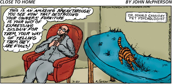 Close to Home on Sunday March 27, 2011 Comic Strip