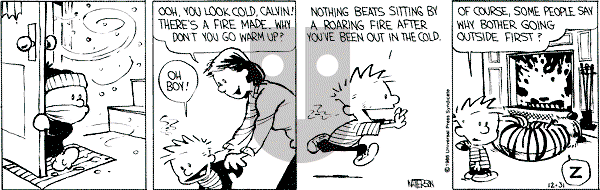 Calvin and Hobbes - Wednesday December 31, 1986 Comic Strip