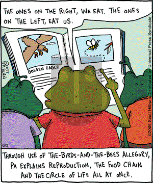 The Argyle Sweater on Wednesday June 3, 2009 Comic Strip