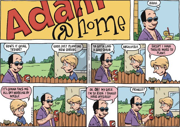 Adam@Home on Sunday July 19, 2015 Comic Strip