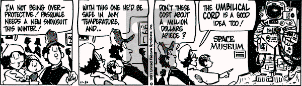 Rose is Rose on Saturday November 30, 1991 Comic Strip