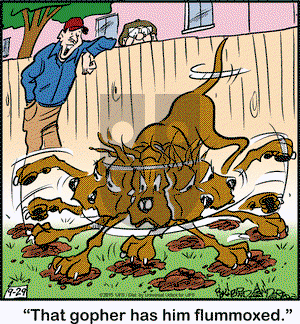 Marmaduke on Tuesday September 29, 2015 Comic Strip