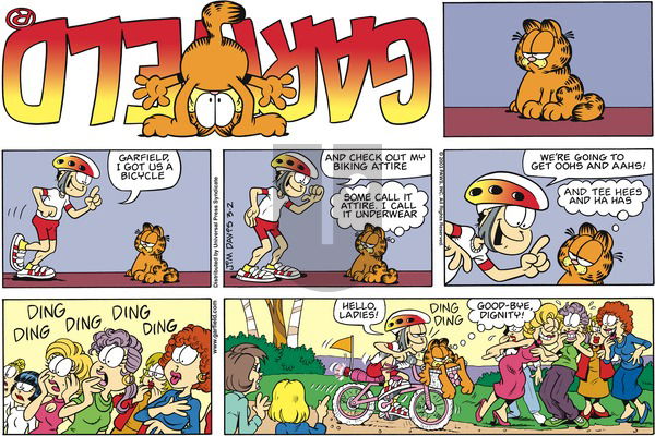 Garfield on Sunday March 2, 2003 Comic Strip