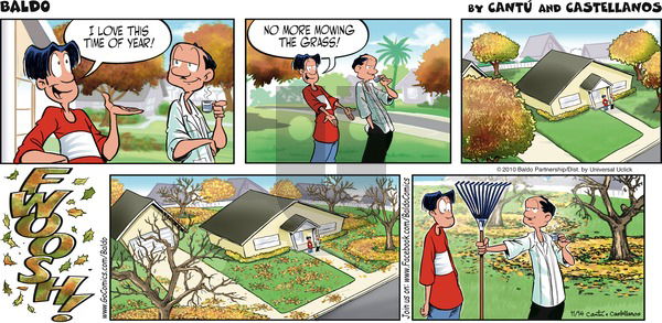 Baldo on Sunday November 14, 2010 Comic Strip