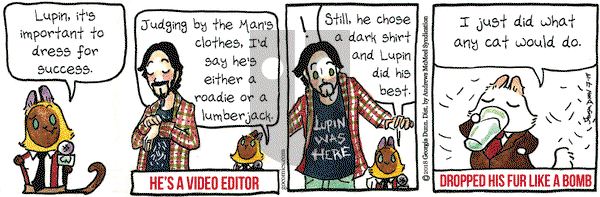 Breaking Cat News on Thursday July 19, 2018 Comic Strip