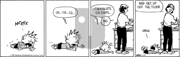 Calvin and Hobbes on Monday May 25, 2015 Comic Strip