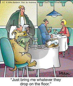 Cornered on Wednesday May 7, 2025 Comic Strip