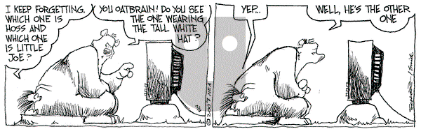 The Grizzwells on Friday July 6, 2007 Comic Strip