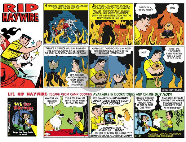 Rip Haywire on Sunday February 5, 2017 Comic Strip