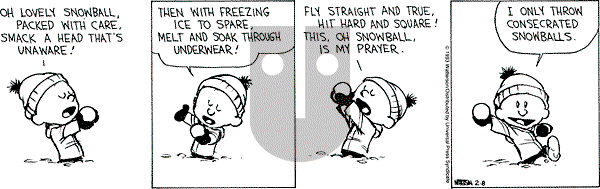 Calvin and Hobbes - Monday February 8, 1993 Comic Strip