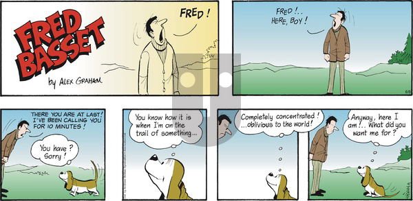 Fred Basset on Sunday June 8, 2025 Comic Strip