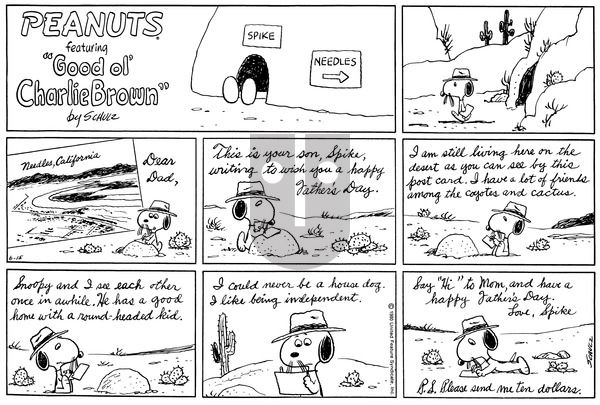 Peanuts on Sunday June 15, 1980 Comic Strip