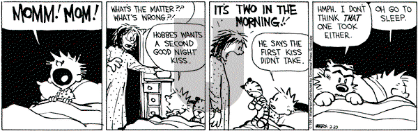 Calvin and Hobbes on Saturday February 23, 1991 Comic Strip