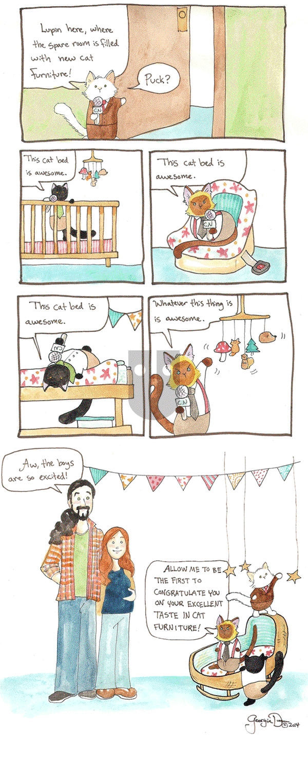 Breaking Cat News on Saturday October 1, 2016 Comic Strip