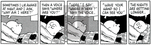 Peanuts on Saturday April 24, 1993 Comic Strip